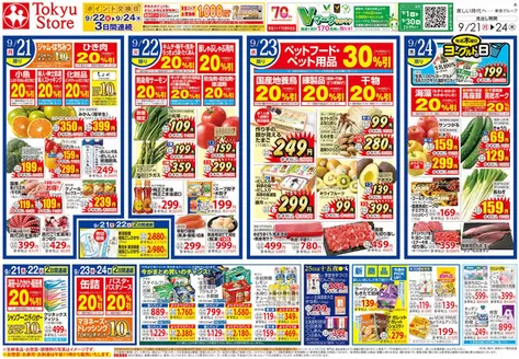 東急ストアのカタログ | 東急ストア チラシ | 2026-09-20T00:00:00.000Z - 2026-09-24T00:00:00.000Z