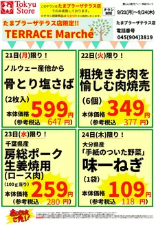 東急ストアのカタログ | 発見するための新しいオファー | 2026-09-20T00:00:00.000Z - 2026-09-24T00:00:00.000Z