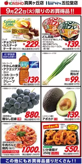 ハーベスのカタログ | 現在の取引とオファー | 2026-09-21T00:00:00.000Z - 2026-09-22T00:00:00.000Z