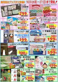 だいちゃんの店衣料館のカタログ | すべての掘り出し物ハンターのためのトップオファー | 2026-09-23T00:00:00.000Z - 2026-09-27T00:00:00.000Z