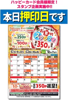たいらやのカタログ | 排他的な掘り出し物 | 2026-09-01T00:00:00.000Z - 2026-10-04T00:00:00.000Z
