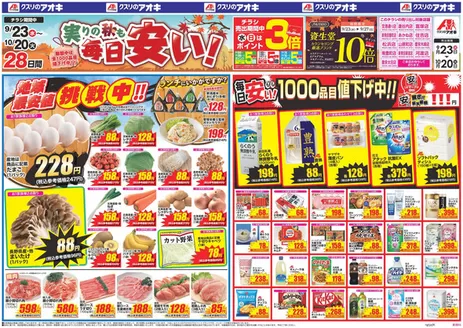 新潟市でのクスリのアオキのカタログ | 現在の特別プロモーション | 2026-09-23T00:00:00.000Z - 2026-10-20T00:00:00.000Z
