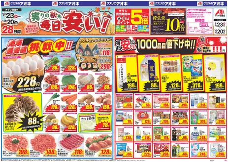 関市でのクスリのアオキのカタログ | あなたのための特別オファー | 2026-09-23T00:00:00.000Z - 2026-10-20T00:00:00.000Z