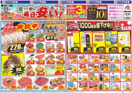 関市でのクスリのアオキのカタログ | 私たちの最高の掘り出し物 | 2026-09-23T00:00:00.000Z - 2026-10-20T00:00:00.000Z