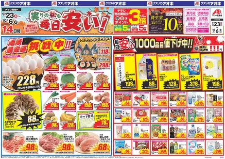 八尾市でのクスリのアオキのカタログ | 掘り出し物ハンターのための素晴らしいオファー | 2026-09-23T00:00:00.000Z - 2026-10-06T00:00:00.000Z
