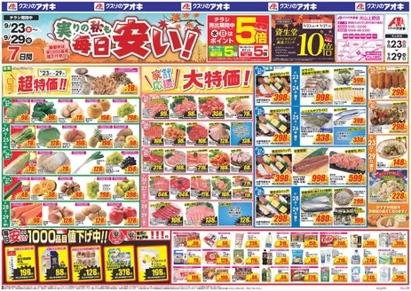 関市でのクスリのアオキのカタログ | 掘り出し物ハンターのためのオファー | 2026-09-23T00:00:00.000Z - 2026-09-29T00:00:00.000Z