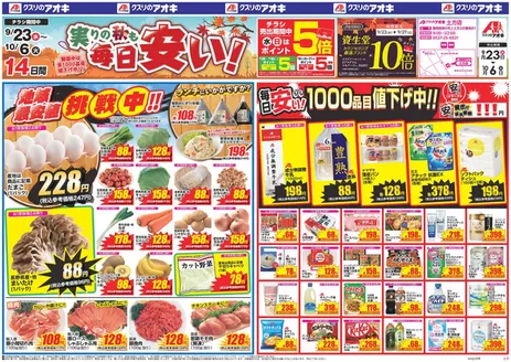 天栄村でのクスリのアオキのカタログ | 倹約家のためのトップオファー | 2026-09-23T00:00:00.000Z - 2026-10-06T00:00:00.000Z