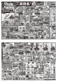 スターのカタログ | 掘り出し物ハンターのための素晴らしいオファー | 2026-09-25T00:00:00.000Z - 2026-09-28T00:00:00.000Z