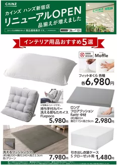 カインズホームのカタログ | ハンズ新宿店リニューアルOPEN インテリア用品5選 | 2026-09-25T00:00:00.000Z - 2026-10-12T00:00:00.000Z