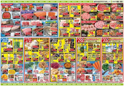 タイヨーのカタログ | 割引とプロモーション | 2026-09-26T00:00:00.000Z - 2026-09-30T00:00:00.000Z