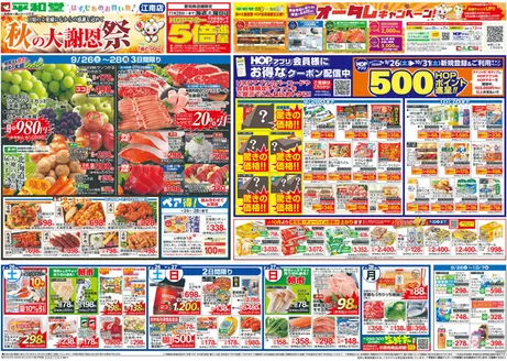 平和堂のカタログ | 私たちの最高の掘り出し物 | 2026-09-25T00:00:00.000Z - 2026-09-30T00:00:00.000Z