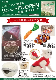 東松島市でのカインズホームのカタログ | ハンズ新宿店リニューアルOPEN ペット用品5選 | 2026-09-26T00:00:00.000Z - 2026-10-12T00:00:00.000Z