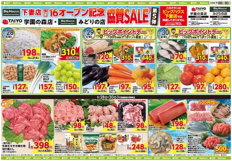 タイヨーのカタログ | 豊富なオファーの選択 | 2026-09-28T00:00:00.000Z - 2026-09-30T00:00:00.000Z