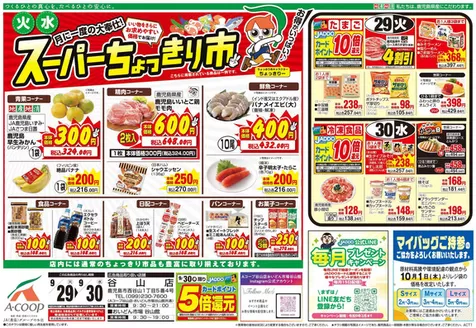 Aコープ 鹿児島のカタログ | 豊富なオファーの選択 | 2026-09-29T00:00:00.000Z - 2026-09-30T00:00:00.000Z