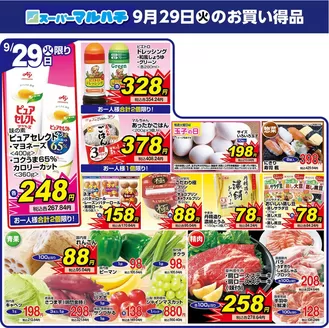 マルハチのカタログ | 2026年9月29日 | 2026-09-28T00:00:00.000Z - 2026-09-29T00:00:00.000Z