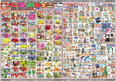 大阪市でのハンズマンのカタログ | 人気の草花・野菜特集　秋のガーデニングフェア第3弾 | 2026-09-29T00:00:00.000Z - 2026-10-12T00:00:00.000Z