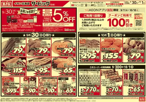 ザ・ビッグのカタログ | ザ・ビッグ チラシ | 2026-09-29T00:00:00.000Z - 2026-10-01T00:00:00.000Z