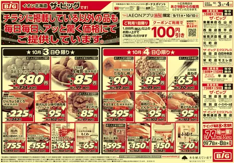 ザ・ビッグのカタログ | ザ・ビッグ チラシ | 2026-10-02T00:00:00.000Z - 2026-10-06T00:00:00.000Z