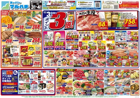 マルハチのカタログ | 2026年10月03日-04日 | 2026-10-02T00:00:00.000Z - 2026-10-04T00:00:00.000Z
