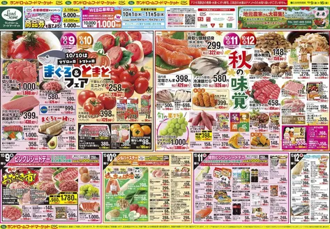 我孫子市でのランドロームのカタログ | ランドローム チラシ | 2026-10-01T00:00:00.000Z - 2026-11-05T00:00:00.000Z