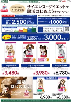綾瀬市でのカインズホームのカタログ | ヒルズ 107号 | 2026-10-06T00:00:00.000Z - 2026-10-14T00:00:00.000Z
