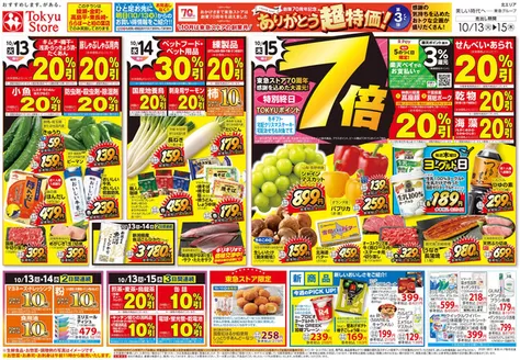 東急ストアのカタログ | すべての人のための魅力的な特別オファー | 2026-10-12T00:00:00.000Z - 2026-10-15T00:00:00.000Z