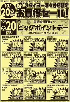 タイヨーのカタログ | あなたのための特別オファー | 2026-10-20T00:00:00.000Z - 2026-10-20T00:00:00.000Z