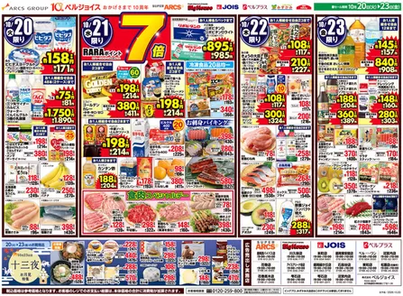 ビッグハウスのカタログ | ビッグハウス チラシ | 2026-10-19T00:00:00.000Z - 2026-10-23T00:00:00.000Z