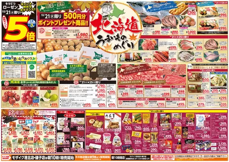 相鉄ローゼンのカタログ | あなたのための私たちの最高の取引 | 2026-10-20T00:00:00.000Z - 2026-10-25T00:00:00.000Z