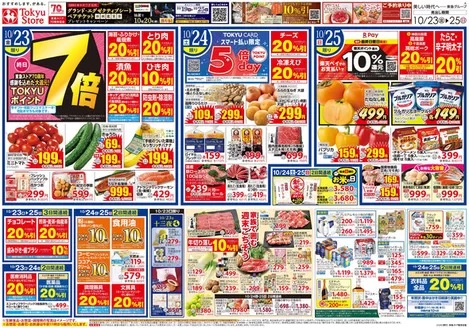 川崎市でのフレルさぎ沼のカタログ | 2026/10/23 | 2026-10-22T00:00:00.000Z - 2026-10-25T00:00:00.000Z