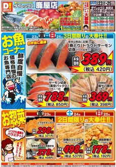 鹿屋市でのダイレックスのカタログ | あなたのための特別オファー | 2026-10-23T00:00:00.000Z - 2026-10-25T00:00:00.000Z