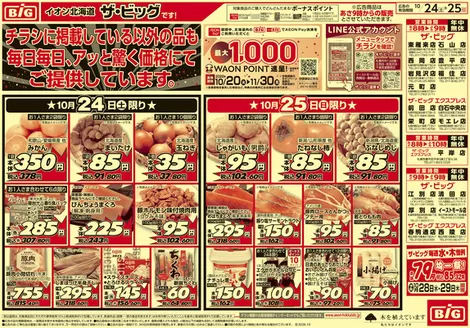 亀山市でのザ・ビッグのカタログ | ザ・ビッグ チラシ | 2026-10-23T00:00:00.000Z - 2026-10-27T00:00:00.000Z
