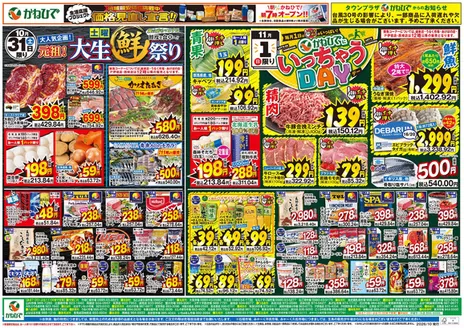 タウンプラザかねひでのカタログ | 私たちの最高の掘り出し物 | 2026-10-28T00:00:00.000Z - 2026-11-01T00:00:00.000Z
