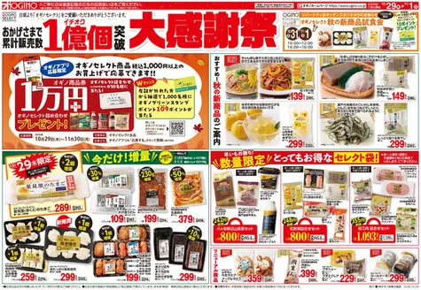 オギノのカタログ | すべての掘り出し物ハンターのためのトップオファー | 2026-10-28T00:00:00.000Z - 2026-11-01T00:00:00.000Z