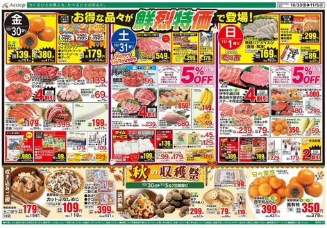 Aコープ西日本のカタログ | すべての掘り出し物ハンターのためのトップオファー | 2026-10-30T00:00:00.000Z - 2026-11-05T00:00:00.000Z