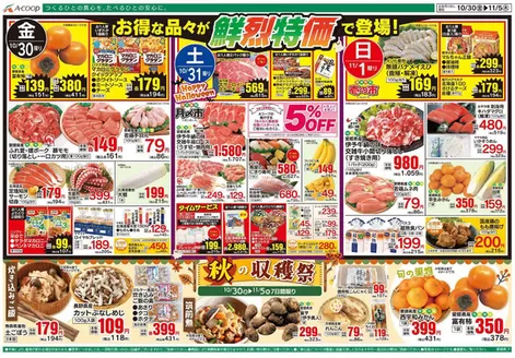 Aコープ西日本のカタログ | 豊富なオファーの選択 | 2026-10-30T00:00:00.000Z - 2026-11-05T00:00:00.000Z