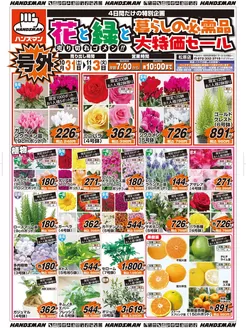 ハンズマンのカタログ | 【号外】花と緑と暮らしの必需品大特価セール | 2026-10-30T00:00:00.000Z - 2026-11-03T00:00:00.000Z