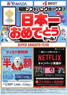 藤沢市でのヤマダ電機のカタログ | 排他的な取引と掘り出し物 | 2026-10-30T00:00:00.000Z - 2026-11-13T00:00:00.000Z