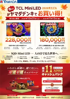 羽咋市でのヤマダ電機のカタログ | 現在の取引とオファー | 2026-10-30T00:00:00.000Z - 2026-11-13T00:00:00.000Z