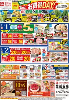 東急ストアのカタログ | 豊富なオファーの選択 | 2026-10-31T00:00:00.000Z - 2026-11-02T00:00:00.000Z