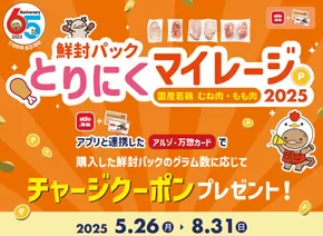 アルゾ チラシ