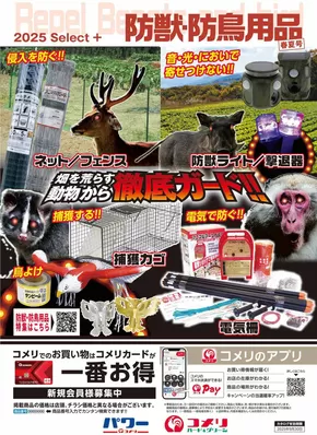 仙台市でのコメリのカタログ | 防獣・防鳥用品 | 2025-06-16T00:00:00.000Z - 2025-09-30T00:00:00.000Z