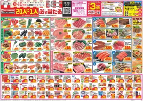 鳳珠郡でのクスリのアオキのカタログ | 掘り出し物ハンターのためのオファー | 2025-06-30T00:00:00.000Z - 2025-09-01T00:00:00.000Z