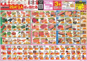 龍ケ崎市でのクスリのアオキのカタログ | 倹約家のためのトップオファー | 2025-09-05T00:00:00.000Z - 2025-09-18T00:00:00.000Z