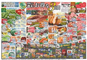 新潟市でのウオエイのカタログ | ウオエイ 最新チラシ | 2025-07-12T00:00:00.000Z - 2025-07-14T00:00:00.000Z