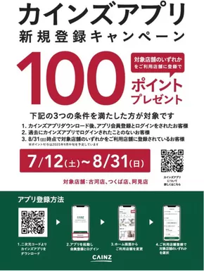 印西市でのカインズホームのカタログ | 掘り出し物ハンターのためのオファー | 2025-07-11T00:00:00.000Z - 2025-08-31T00:00:00.000Z