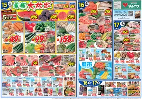 マルヤス チラシ