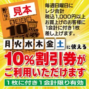 藤沢市でのドミーのカタログ | 倹約家のためのトップオファー | 2025-07-14T00:00:00.000Z - 2025-07-19T00:00:00.000Z