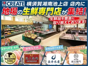 横浜市でのクリエイトのカタログ | クリエイト チラシ | 2025-07-12T00:00:00.000Z - 2025-07-17T00:00:00.000Z