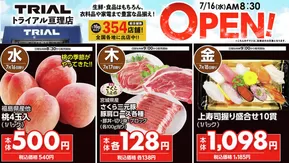函館市でのトライアルのカタログ | 現在の特別プロモーション | 2025-07-16T00:00:00.000Z - 2025-07-18T00:00:00.000Z